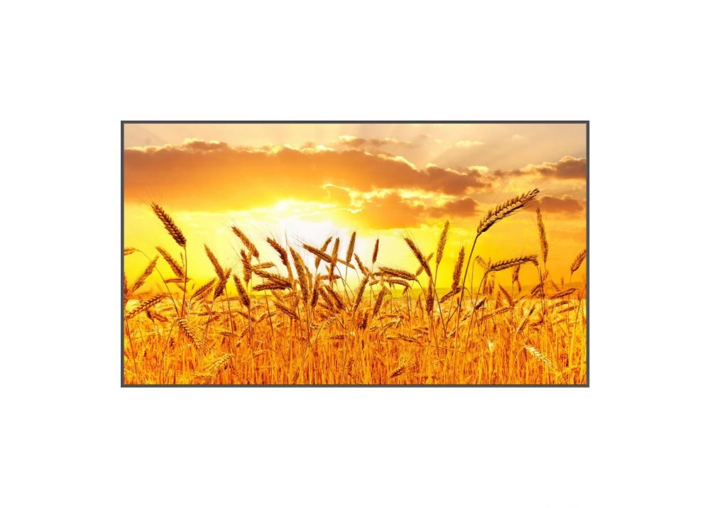 KUVASION 43 Inches Sun Readable 4K Smart Outdoor TV For Outdoor Covered Area, True High Brightness 1500 Nits Outdoor Television, With Wall Mount Bracket (USA model)